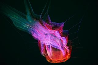 A trippy, dreamy swirl of techno colors.