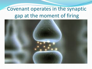 Image of synapses firing with text "Covenant Operates in the Synaptic Gap at the Moment of Firing"