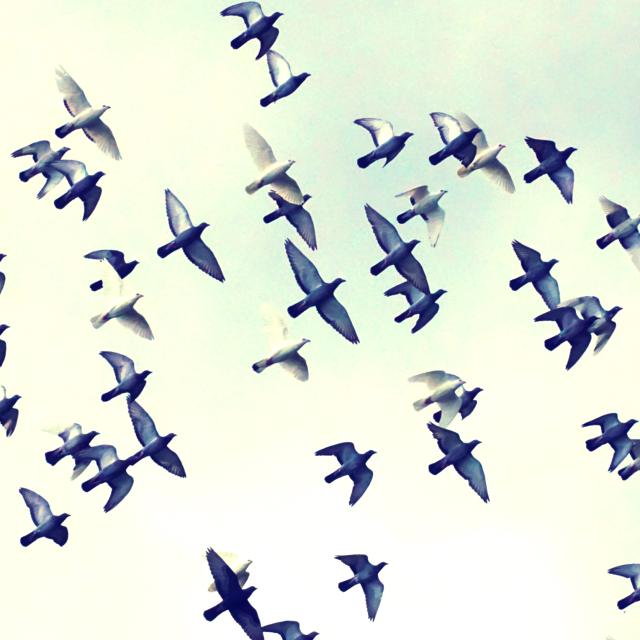 We Come from a People Bound for Freedom