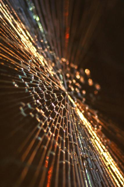 A Reminder of What We Share