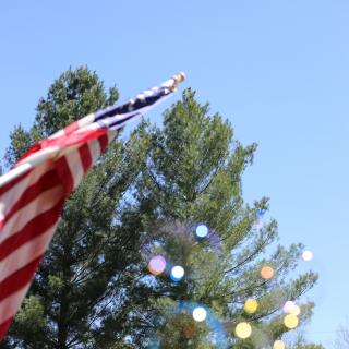 A U.S. flag and a pair of hands intrude into a picture of bubbles against an evergreen tree