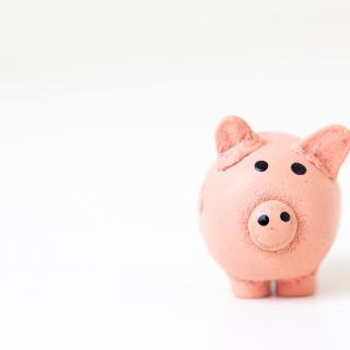 Pink piggy bank on blank background 