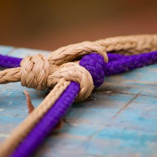 colorful knots