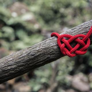red heart made of yarn on a tree