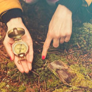 A hand with red nail polish cups a compass, above the mossy floor of a forest, and the other hand points to moss or another object on the ground.