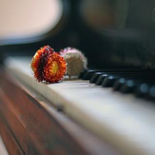 Several dried flowers rest on the keys of an antique piano.