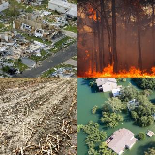 Four photos illustrating climate change-caused disasters: aftermath of a hurricane showing destroyed houses in top left, trees burning in a forest fire in top right, houses and trees almost submerged by flooding in bottom right, and crops bent and destroyed by drought in bottom left.