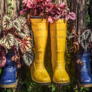 Repurposed rain boots