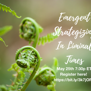 Emergent Strategizing in Liminal Times, May 25th 7:30 ET, Register Here (url). Image of curled up fern sprouts