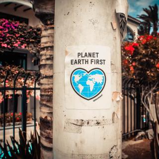 Poster with heart-shaped map of earth reading "Planet Earth First - Greenpeace" attached to pole in front of out-of-focus trees and bushes and house with a pool