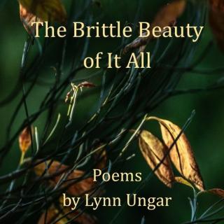 Cover for The Brittle Beauty of It All by Lynn Ungar