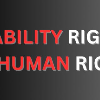 Image Description: DISABILITY RIGHTS ARE HUMAN RIGHTS. The words "disability" and "human are in red letter with a gray shadow font. The word "are" is blue with a gray shadow font. The word "rights" is in white with a gray shadow font.
