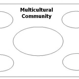 LEADER RESOURCE 1 Multicultural Community Diagram