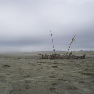 On a desolate beach, driftwood forms a ghostly "boat"