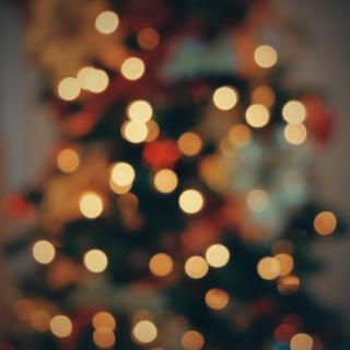 An out-of-focus shot of a christmas tree with small white lights.