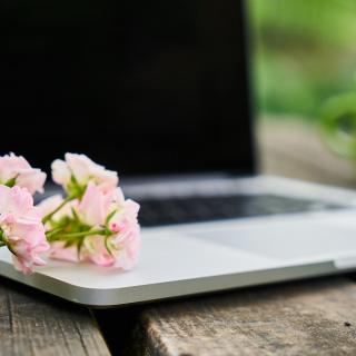 Roses laying on a laptop computer
