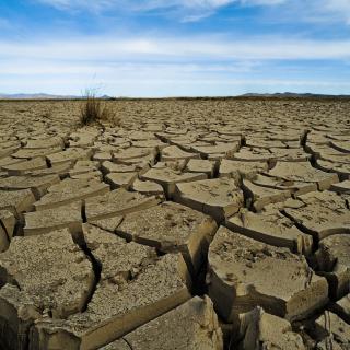 A field in Mongolia of dirt, deeply cut by cracks. The phenomenon, called a “dzud," is a drought in the summer and an extremely cold winter.
