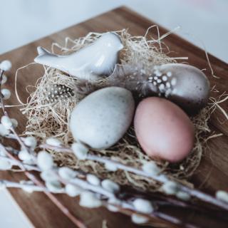 On a wooden board, an arrangement of pastel eggs, a ceramic bird, a nest with feathers, and some pussywillow.