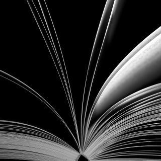The pages of a book fan open in a black & white photograph.