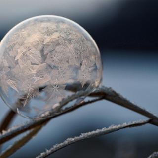 On a bare, frozen branch, a bubble forms frost patterns