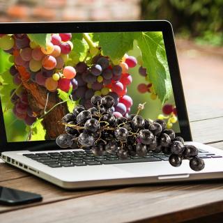 Laptop computer with grapes on the screen and real grapes on the keyboard.