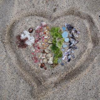 Heart in beach sand with a rainbow created from found natural materials.