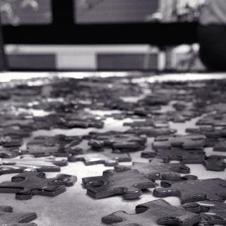 A close up of jigsaw puzzle pieces scattered across a table, and two people's hands sorting those pieces.