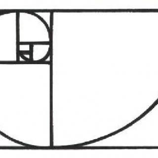 Fibonacci Spiral Pattern.