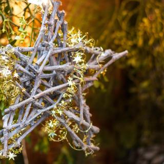 A star, densely woven from delicate branches, hanging next to a branch of mistletoe.
