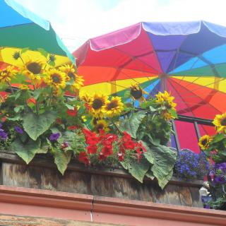 flowers and rainbow umbrellas