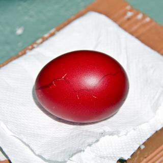 A bright red egg rests on a white paper towel.