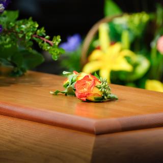 A rose resting on a wooden casket, more flowers visible in the background