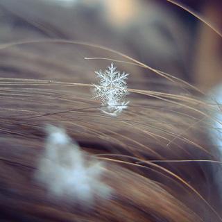 A close-up photo of a snowflake
