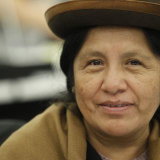 A participant at the 9/14 discussion on "Indigenous Peoples' Lands, Territories and Resources", taking place as part of the first World Conference on Indigenous Peoples (WCIP).