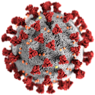 An image of the COVID-19 virus.