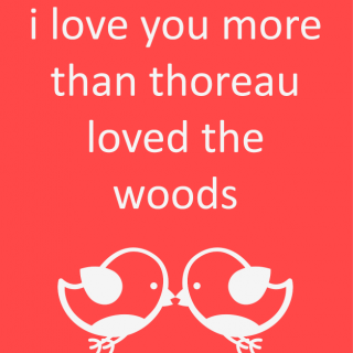 On a red field, two white cartoon birds kissing with text: "I love you more than thoreau loved the woods"