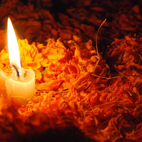The stub of a lit taper candle burns brightly on a bed of cempasúchil, or Mexican marigolds.